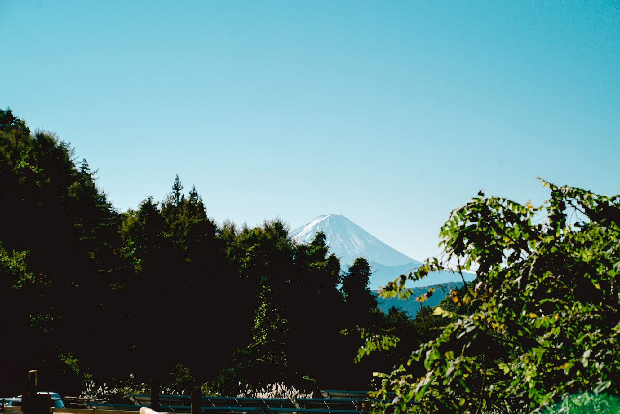 キャンプサイトからの眺望